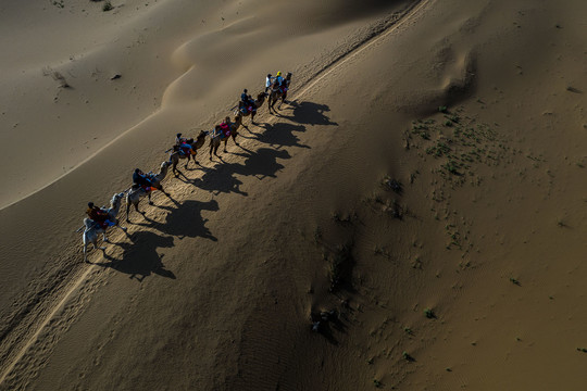 沙漠驼影摄影图
