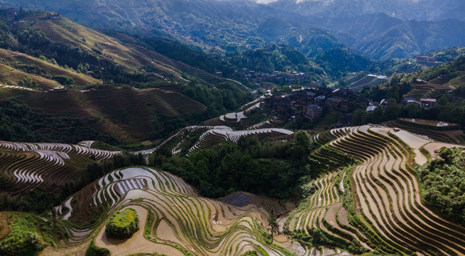 龙脊梯田灌水景色