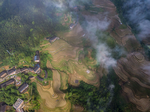 龙脊梯田灌水时景色