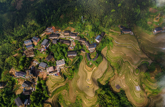 龙脊梯田灌水时景色