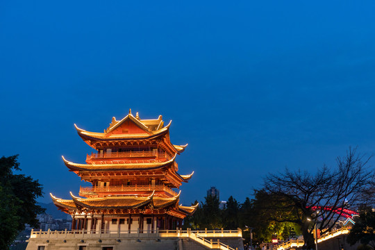 宜宾长江地标广场夹镜楼夜景