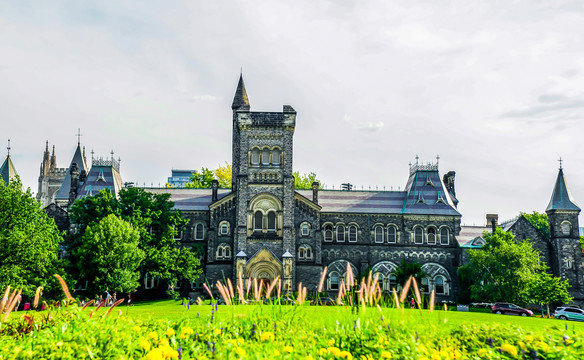 多伦多大学