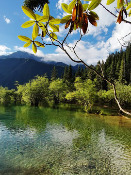 黄龙风景区