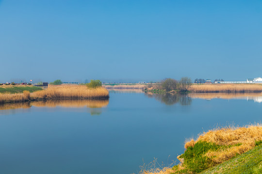 生态湿地