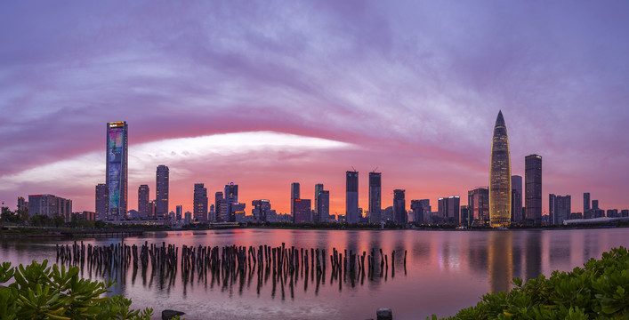 深圳湾全景