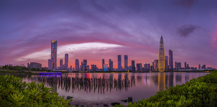 深圳湾全景