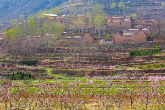 沂蒙山山村风光