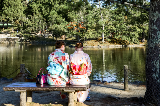 日本奈良神鹿公园