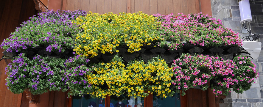 鲜花装饰