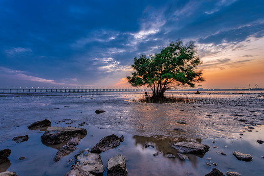 深圳西湾红树林火烧云美景