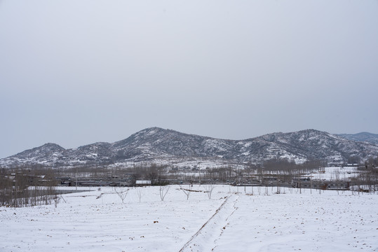 乡村田园田野雪景