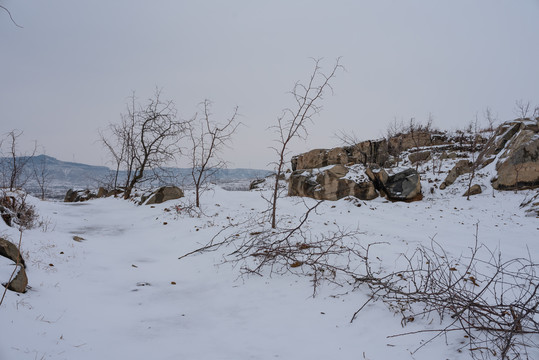 乡村田园雪景