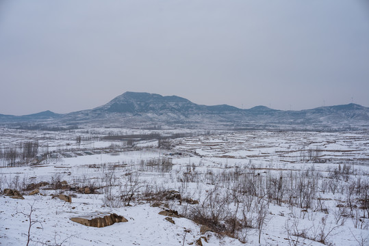 乡村田园雪景