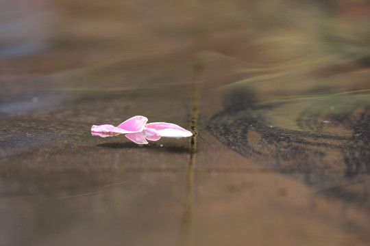 流水落花