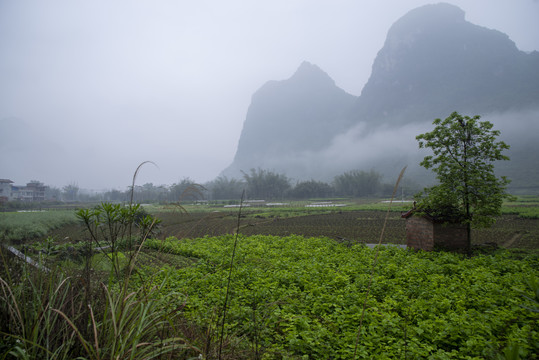 青山雾景烟雾