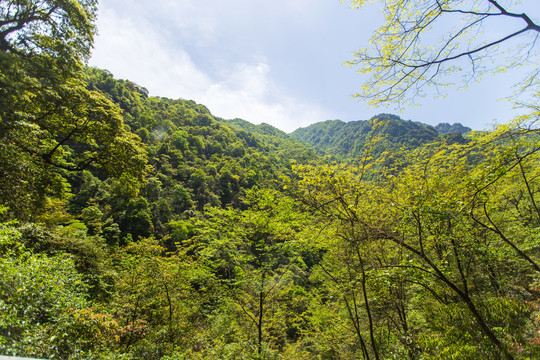 梵净山景区群山风光