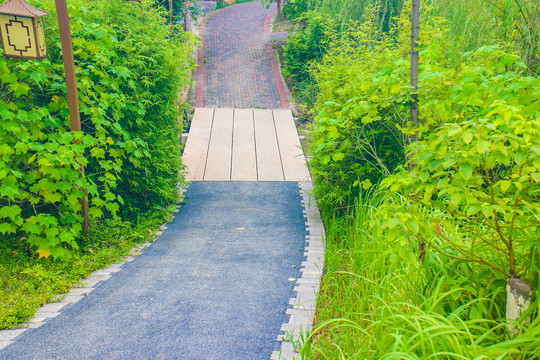 健身步道