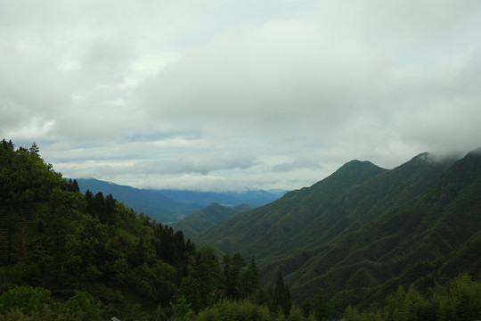 高山白云