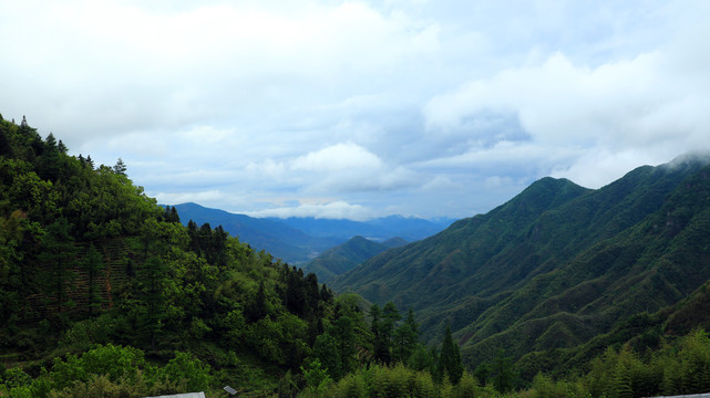 高山白云