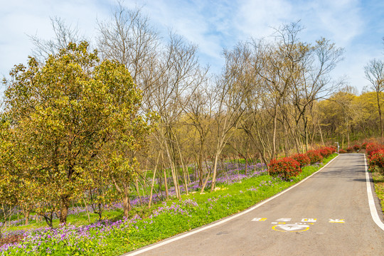 南京平山森林公园