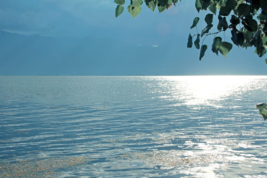 阳光湖面