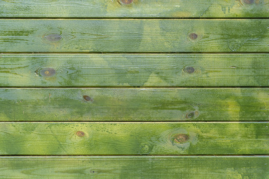 绿色木板墙