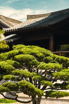 上海宝山寺