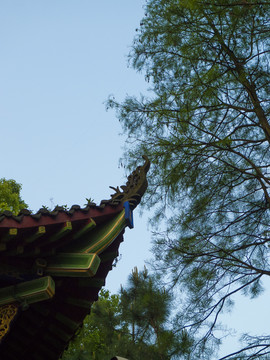 屋檐