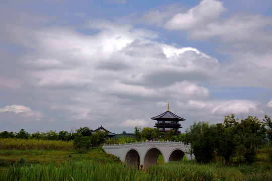 风景