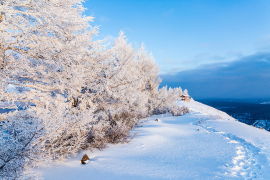 雪地雾凇树挂