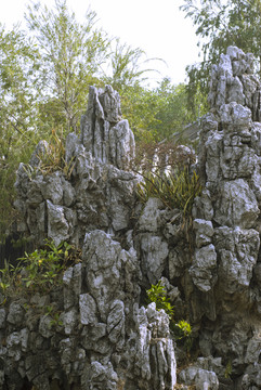 假山奇石盆景园林