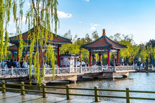 春季的中国长春南湖公园风景