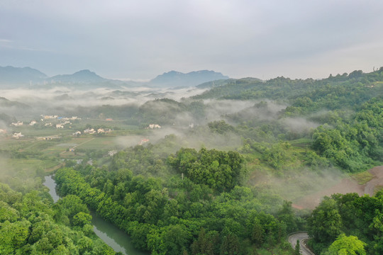 平流雾风光