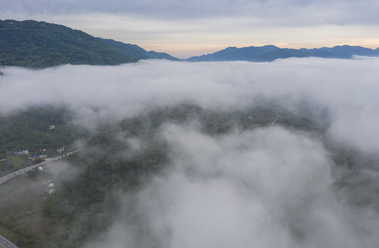 平流雾风光