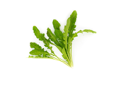 荠菜