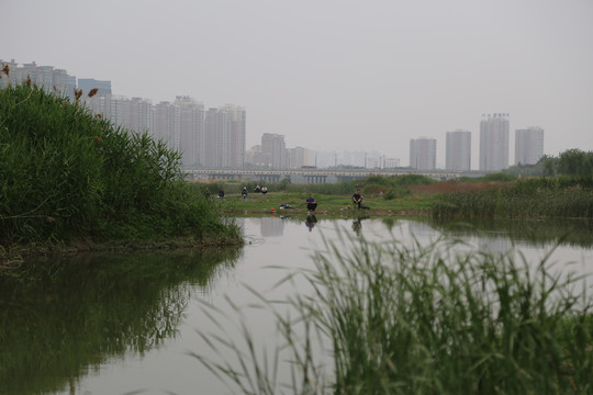 水岸绿地