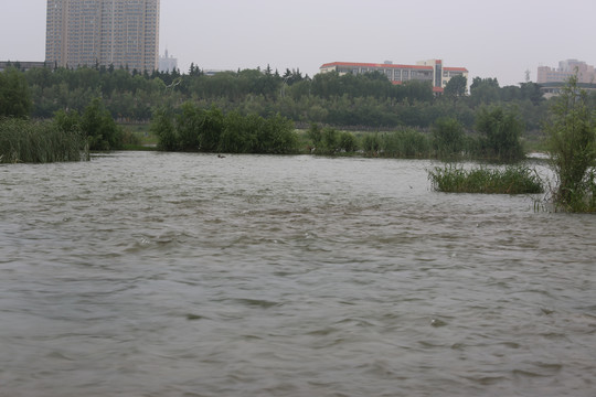 河面河岸