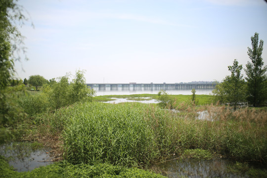 河岸风光河畔风光