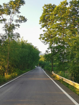 公园健康游道