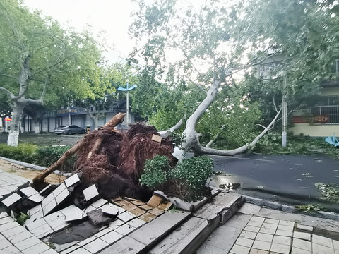 台风过后