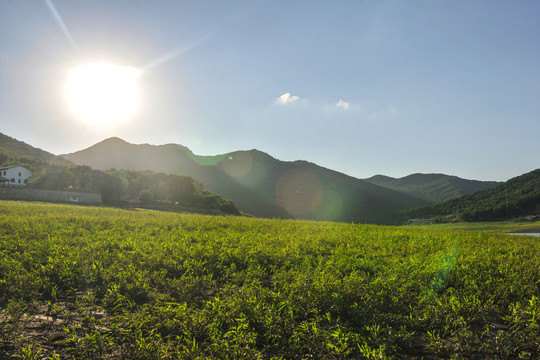 草地阳光高山