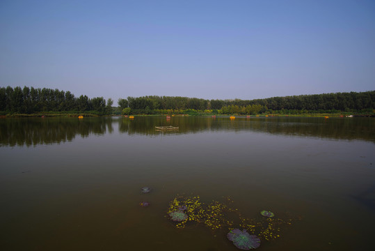 顺义区汉石桥湿地自然保护区