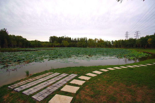 朝阳区何里栖地公园