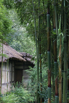 成都杜甫草堂屋茅草屋故居