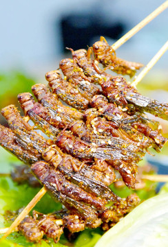 烤蝉肉
