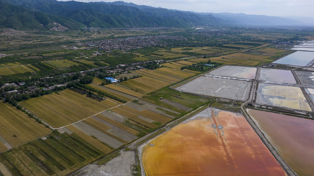 山西运城盐湖麦田