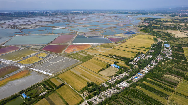 山西运城盐湖麦田