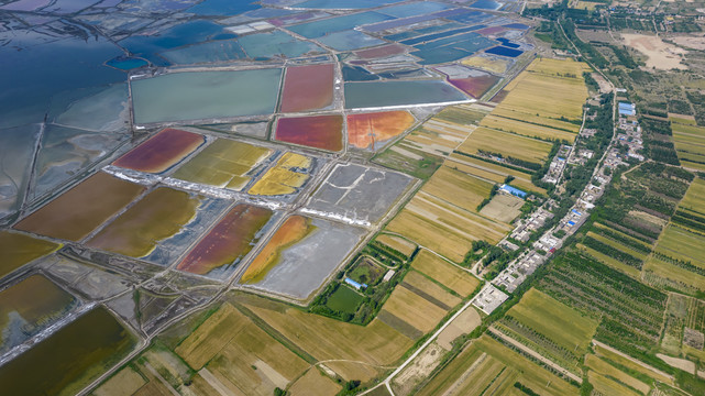 山西运城盐湖麦田