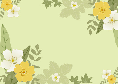 清新文艺植物花卉背景框