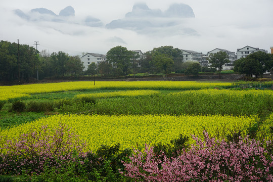 田园风光